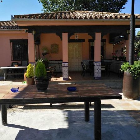 Casa Rural Las Palmeras รอนดา ภายนอก รูปภาพ