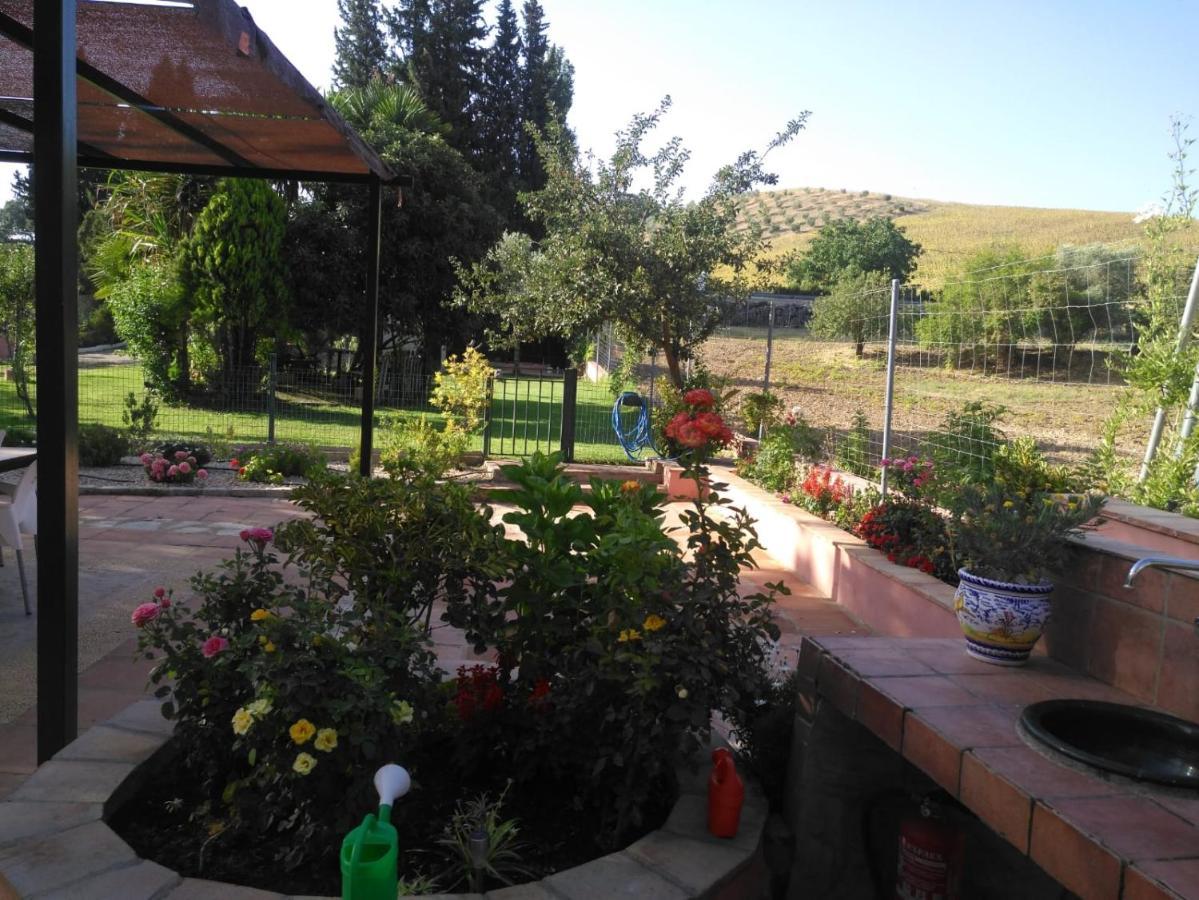 Casa Rural Las Palmeras รอนดา ภายนอก รูปภาพ