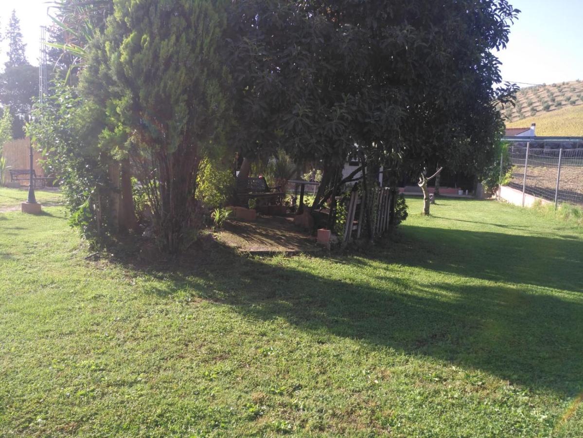Casa Rural Las Palmeras รอนดา ภายนอก รูปภาพ