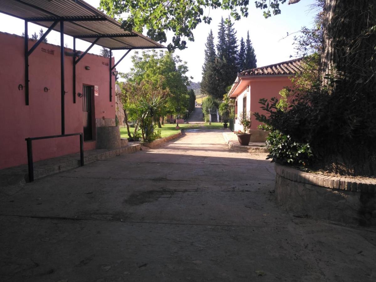 Casa Rural Las Palmeras รอนดา ภายนอก รูปภาพ