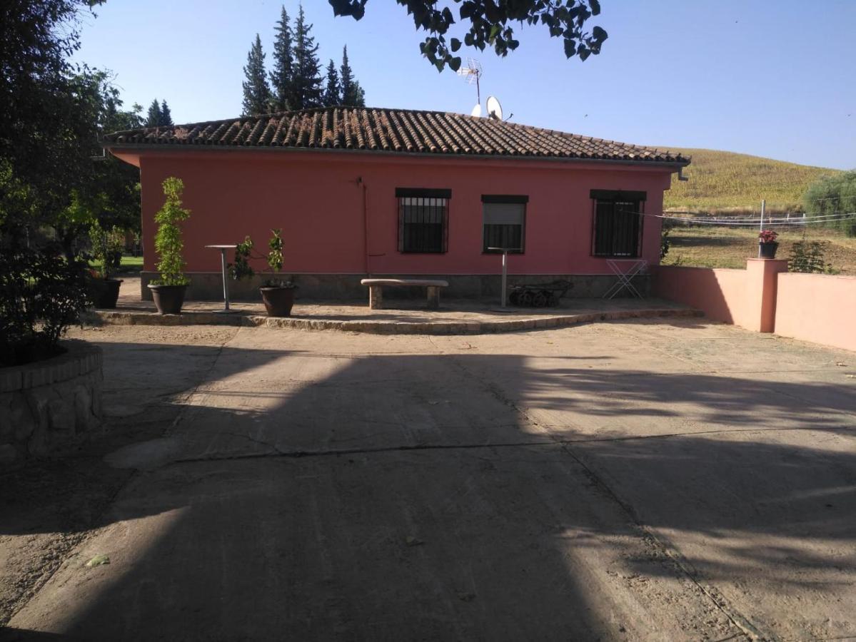Casa Rural Las Palmeras รอนดา ภายนอก รูปภาพ