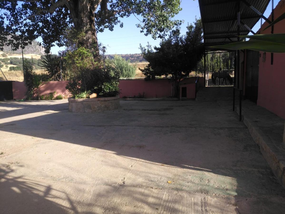 Casa Rural Las Palmeras รอนดา ภายนอก รูปภาพ