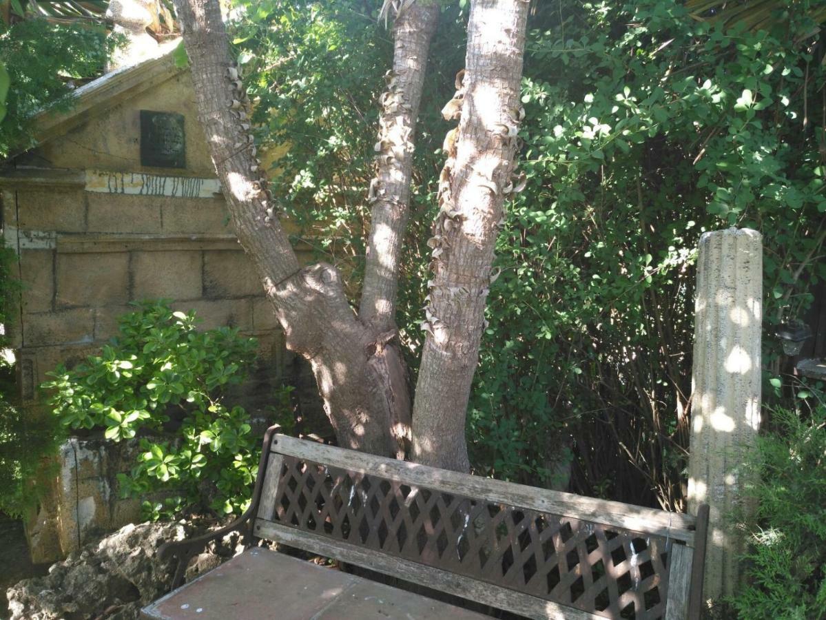 Casa Rural Las Palmeras รอนดา ภายนอก รูปภาพ